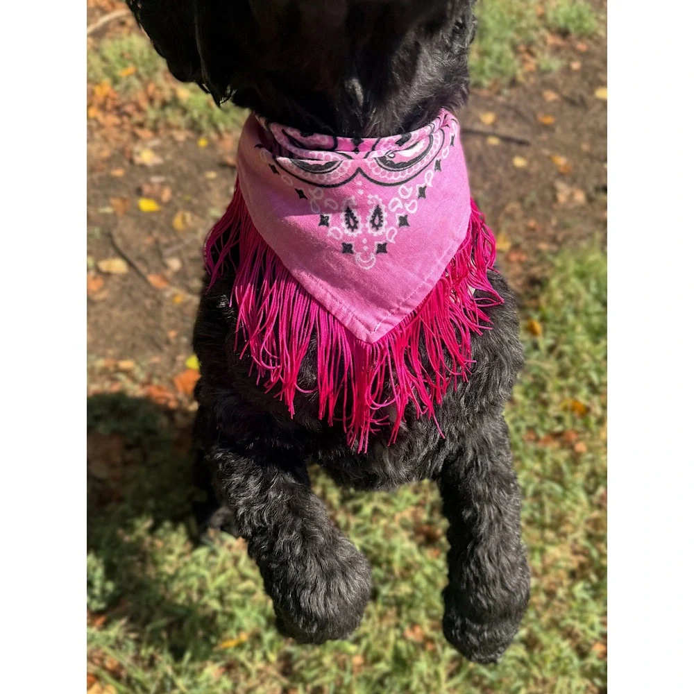 Rhinestone Cowgirl Pink Paisley Fringe Dog Bandana Handmade Western Accessory